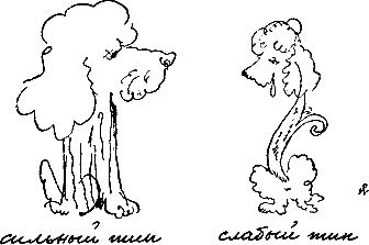 400 советов любителю собак - i_177.png