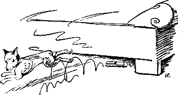 400 советов любителю собак - i_200.png