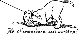 400 советов любителю собак - i_229.png