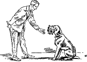 400 советов любителю собак - i_264.png