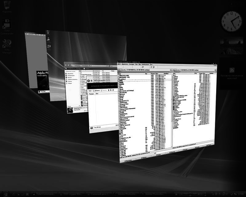 Windows Vista. Мультимедийный курс - i_015.png