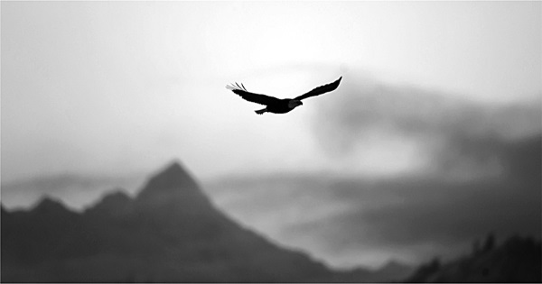 Сила рода – тайна женщины. Сакральные знания для счастливой судьбы - i_026.jpg