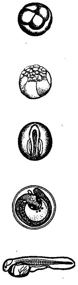 Происшествия под водой - i_002.jpg