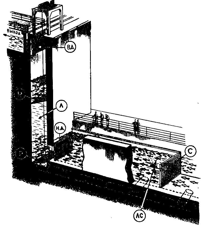 Происшествия под водой - i_019.jpg