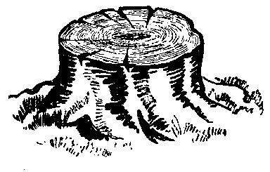 Происшествия под водой - i_024.jpg