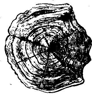 Происшествия под водой - i_025.jpg