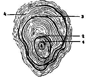 Происшествия под водой - i_026.jpg