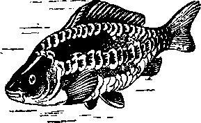 Происшествия под водой - i_030.jpg