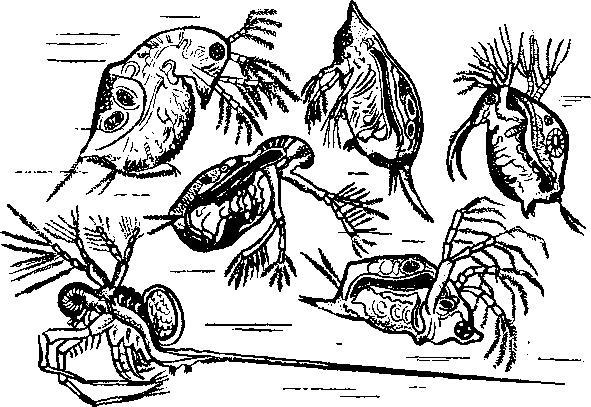 Происшествия под водой - i_032.jpg