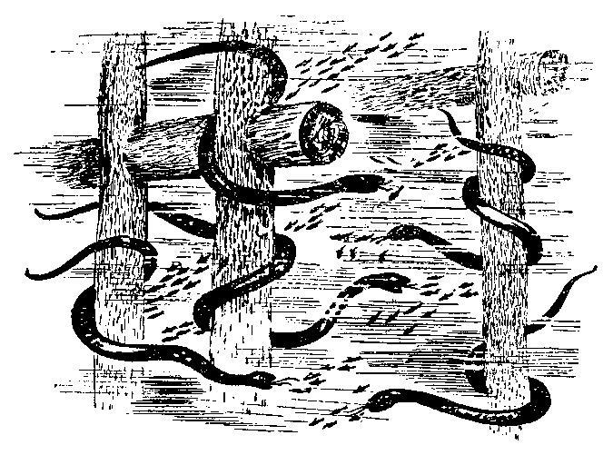 Происшествия под водой - i_039.jpg
