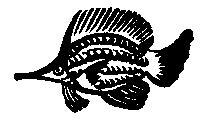 Происшествия под водой - i_047.jpg