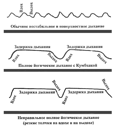 Вдохните здоровье. Лучшие дыхательные практики Востока и Запада - i_004.png