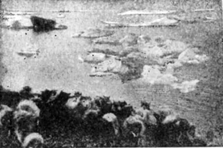 На самолете в Восточной Арктике - i_019.jpg