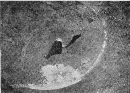 На самолете в Восточной Арктике - i_054.jpg