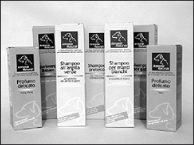 Лабрадор ретривер - i_029.png