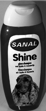 Лабрадор ретривер - i_033.png