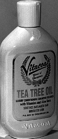 Лабрадор ретривер - i_034.png