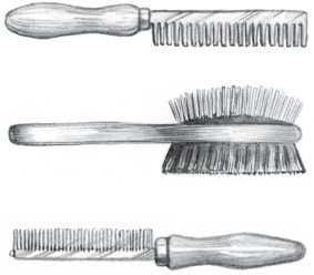 Лабрадор ретривер - i_036.png