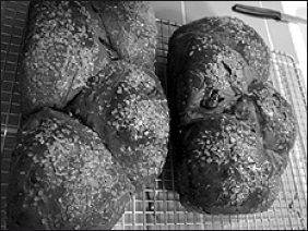 Лабрадор ретривер - i_061.png