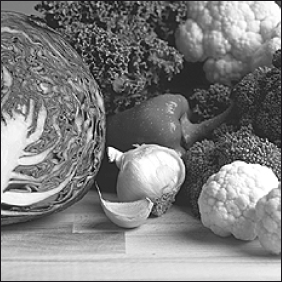 Лабрадор ретривер - i_063.png