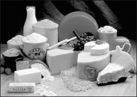 Лабрадор ретривер - i_074.png