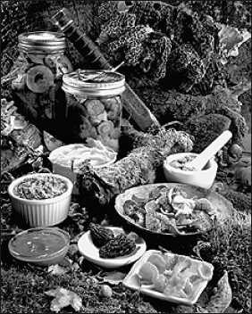 Лабрадор ретривер - i_075.png