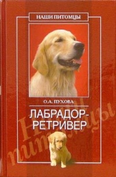  Пухова Олеся Александровна - Лабрадор ретривер