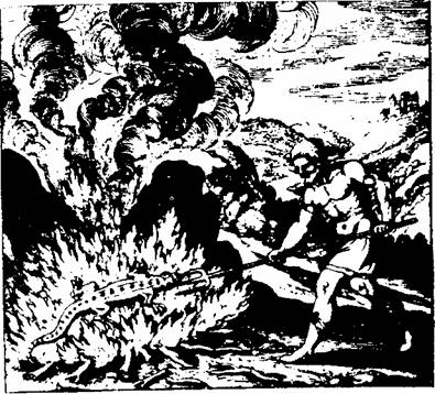 Алхимия - doc2fb_image_02000021.jpg