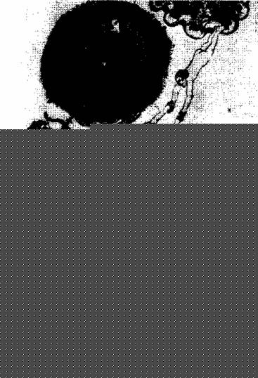 Алхимия - doc2fb_image_02000035.jpg