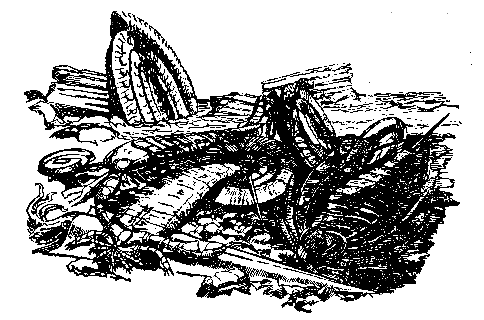 В дебрях времени - pic_4.png