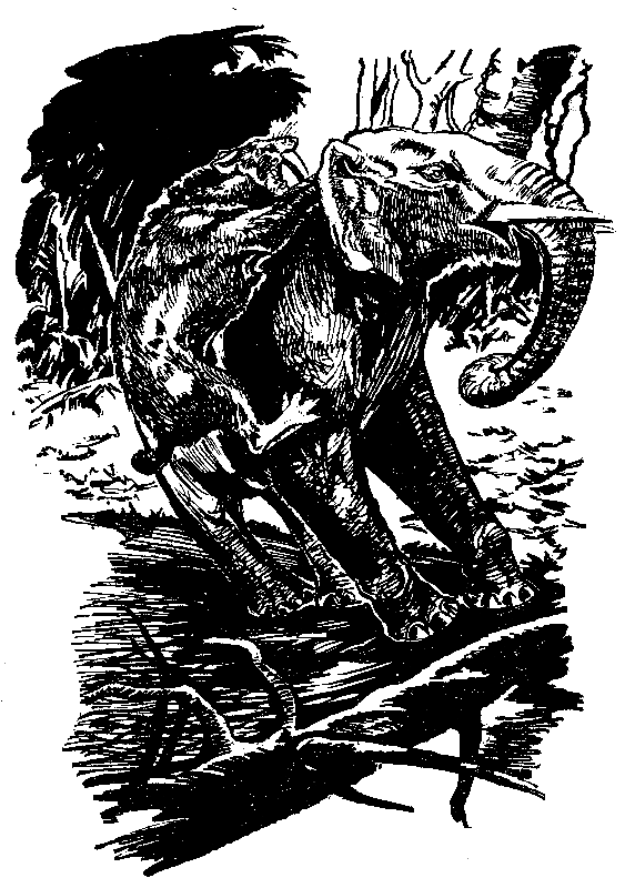 В дебрях времени - pic_30.png