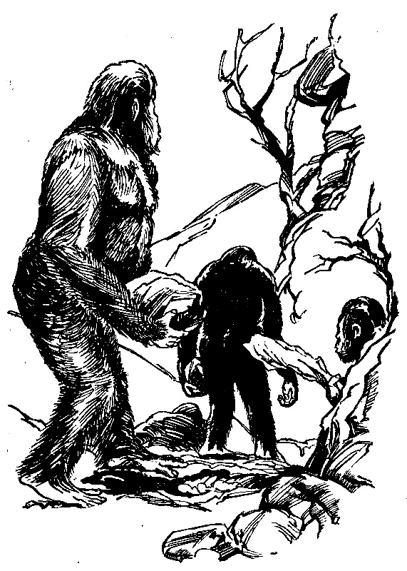 В дебрях времени - pic_32.png