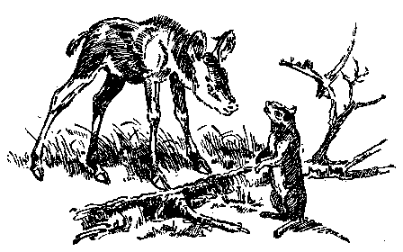 В дебрях времени - pic_33.png