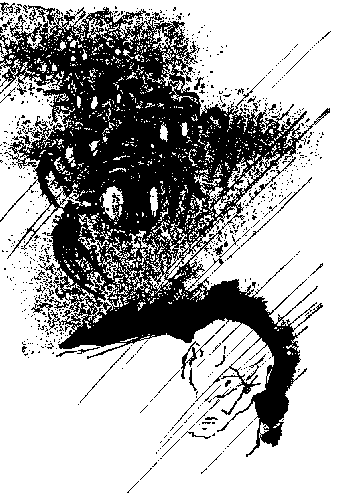 За завесой ливня - i_004.png