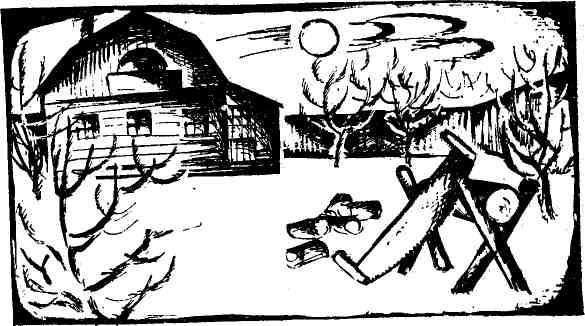 Дикий хмель - img_18.jpg