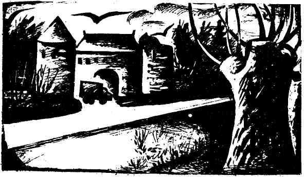 Дикий хмель - img_30.jpg