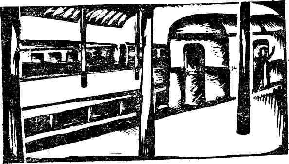 Дикий хмель - img_34.jpg