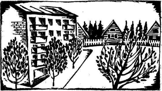 Дикий хмель - img_5.jpg