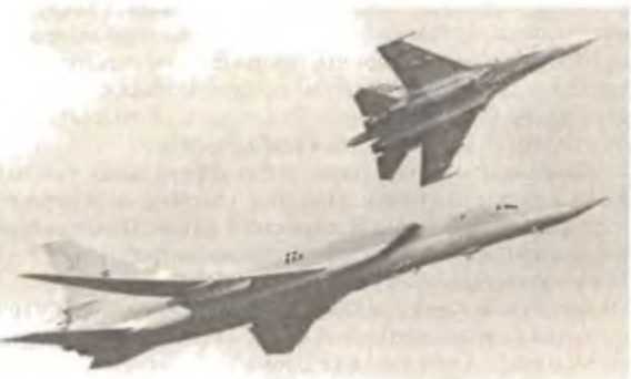 Воздушный щит Страны Советов - _245.jpg