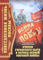  Кокорев Андрей - Повседневная жизнь Москвы. Очерки городского быта в период Первой мировой войны