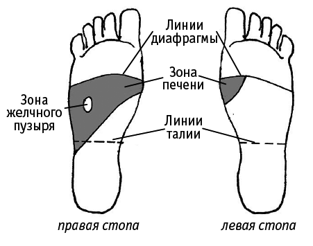 Исцеляющие точки нашего организма. Подробный атлас - i_021.png