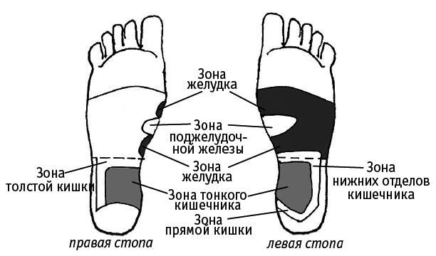 Исцеляющие точки нашего организма. Подробный атлас - i_022.png
