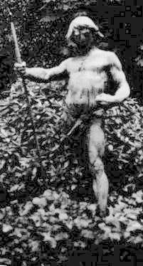 Прогулки по Парижу. Левый берег и острова - pic_15.jpg