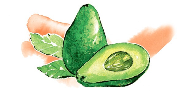 Наука красоты. Из чего на самом деле состоит косметика - i_006.jpg