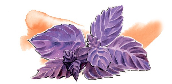 Наука красоты. Из чего на самом деле состоит косметика - i_009.jpg