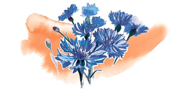 Наука красоты. Из чего на самом деле состоит косметика - i_012.jpg