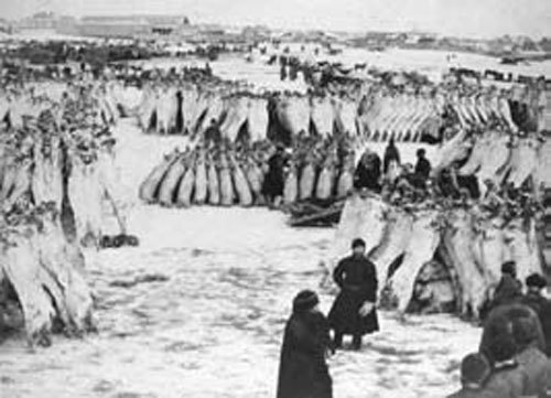 Император Николай II. Жизнь, Любовь, Бессмертие - _20.jpg