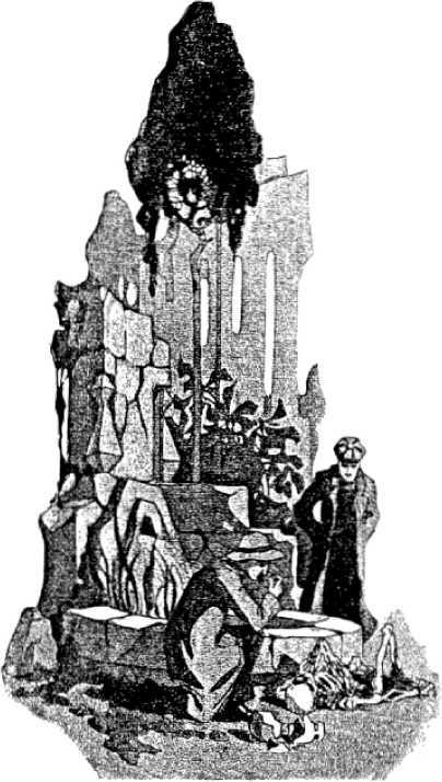 Бомба профессора Штурмвельта<br />(Фантастика Серебряного века. Том VII) - i_024.jpg