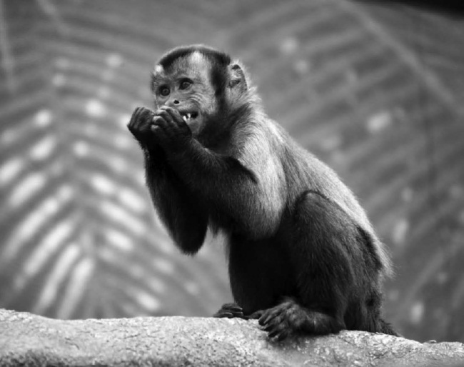 РЖУниМАГУ в самом нужном месте - i_008.jpg