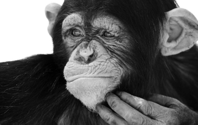 РЖУниМАГУ в самом нужном месте - i_019.jpg